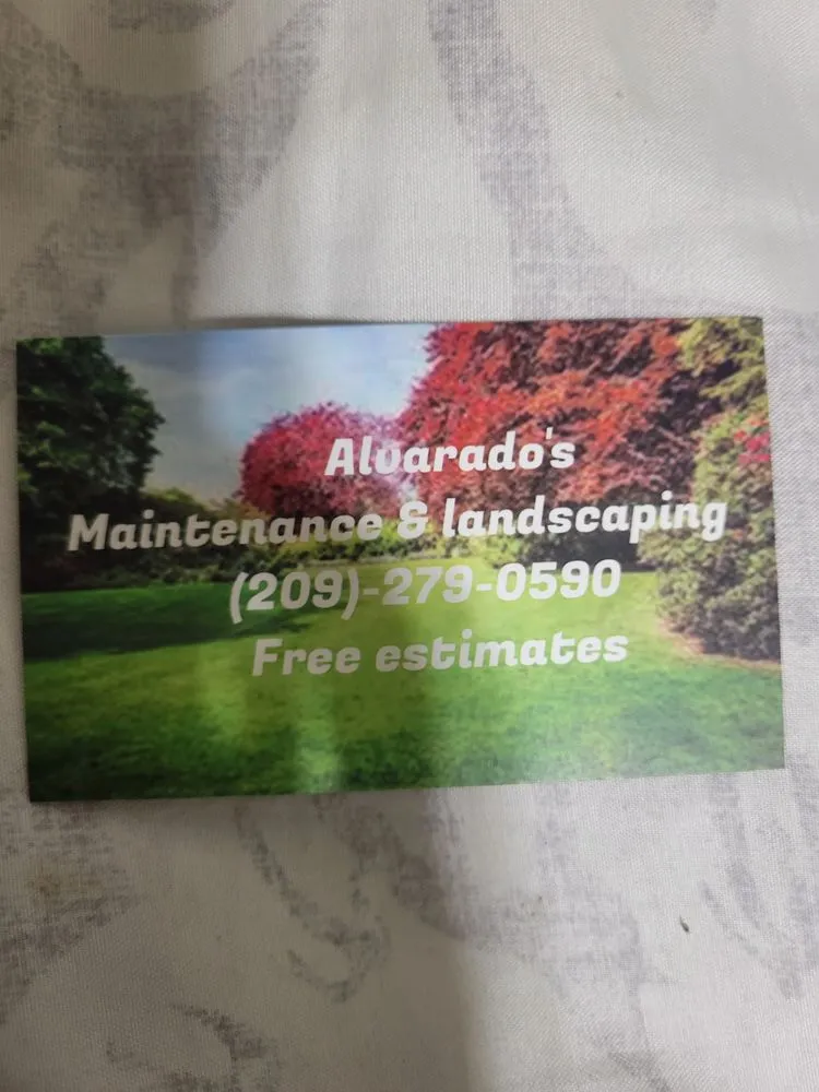 Professional garden landscaping for beautiful yards across Lathrop, CA - Alvarado Landscaping