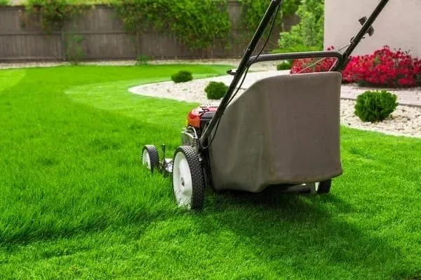 Expert yard cleanup service for outdoor upgrades across Lathrop, CA - Alvarado Landscaping
