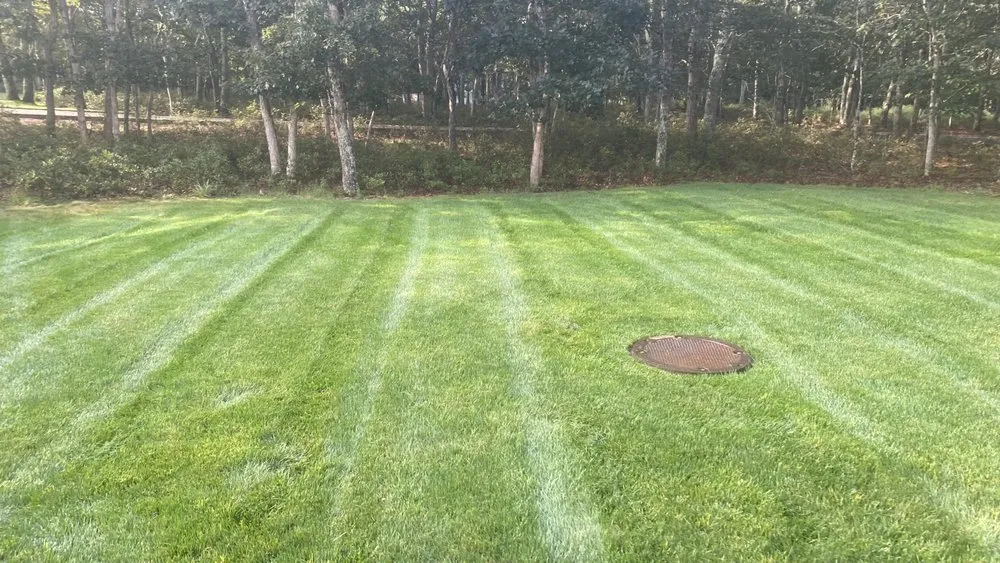 Top-rated landscaping services in Mastic, NY by Alvarado Landscaping