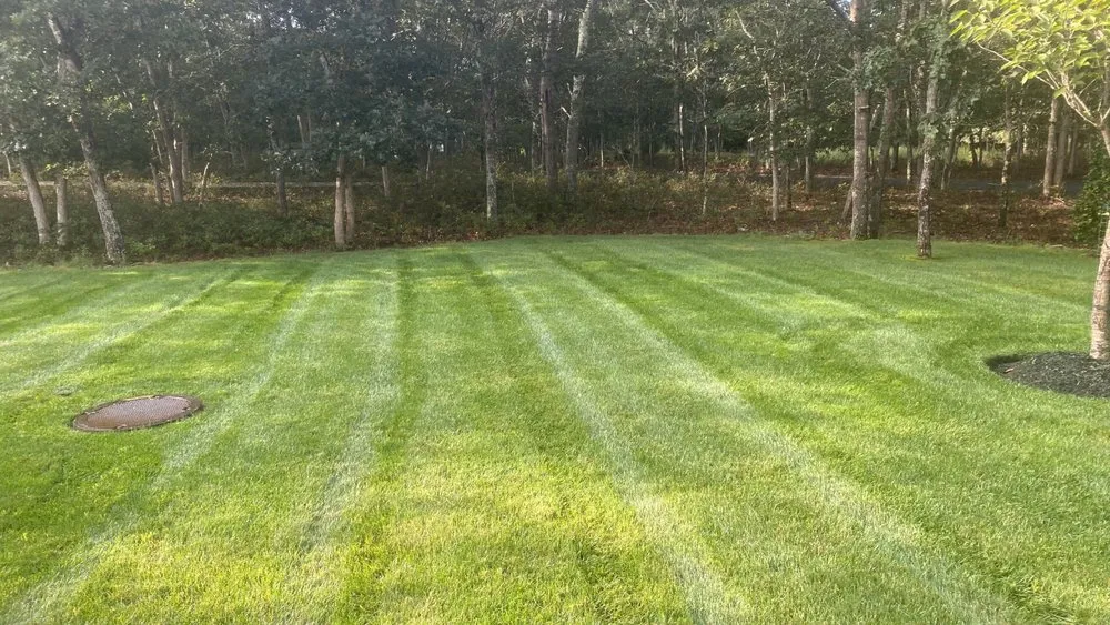 Custom yard cleanup service experts serving Mastic, NY - Alvarado Landscaping