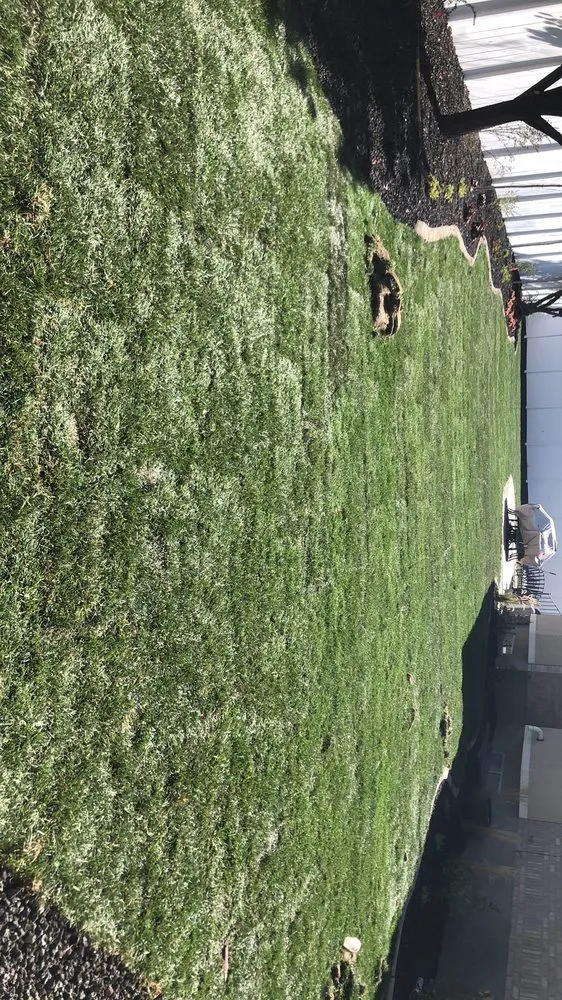 Affordable landscaping services experts serving Midvale, UT - Alvarado Landscaping