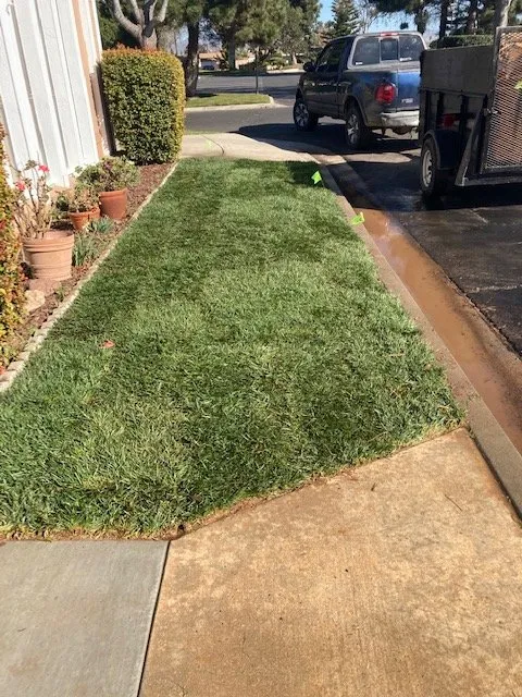 Reliable residential landscaping in Oceano, CA - Alvarado Landscaping
