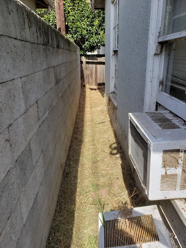 Trusted lawn care service in Oxnard, CA - Alvarado Landscaping