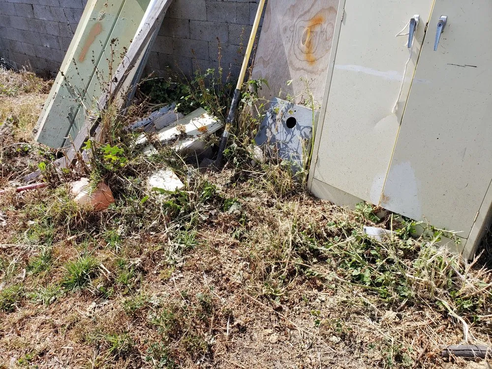 Affordable yard cleanup service for year-round maintenance in Oxnard, CA by Alvarado Landscaping