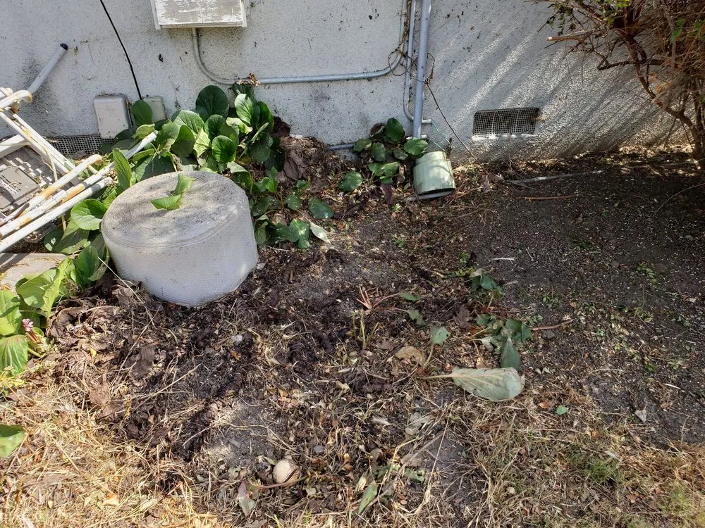 Professional landscaping services with custom design across Oxnard, CA - Alvarado Landscaping