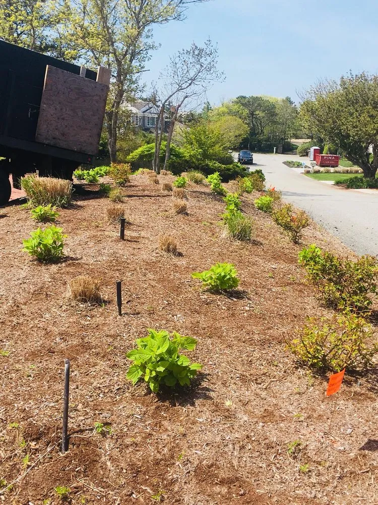 Top-rated lawn care service in Hyannis, MA by Alvarado Lansdcaping