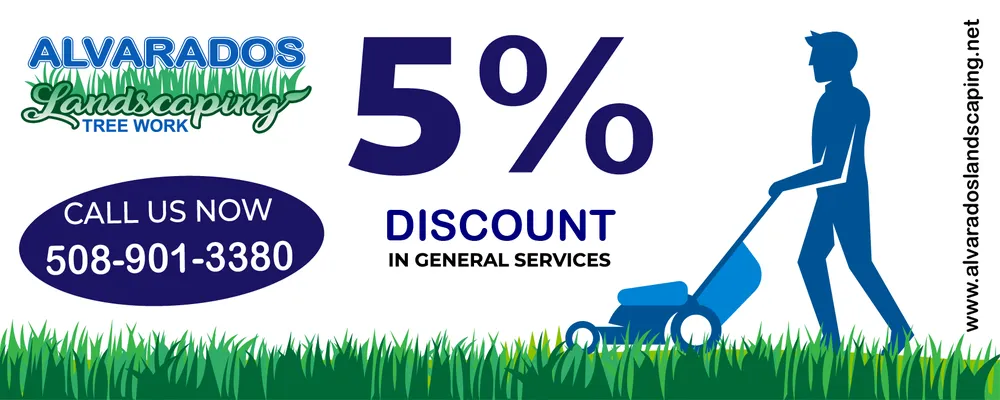 Reliable lawn care service in Hyannis, MA by Alvarado Lansdcaping