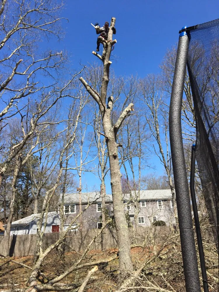 Custom residential landscaping experts serving Hyannis, MA - Alvarado Lansdcaping