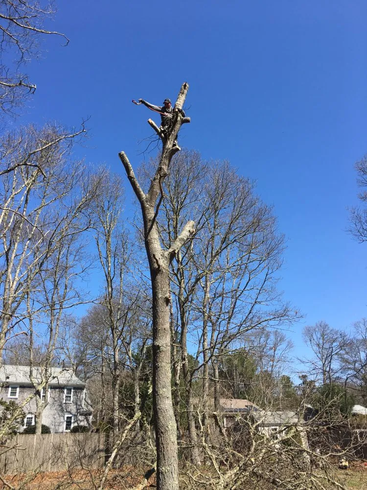 Reliable residential landscaping near you in Hyannis, MA by Alvarado Lansdcaping