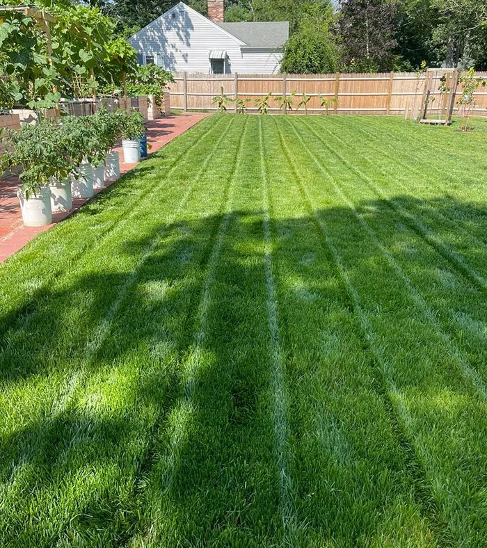 Professional landscaping services near you in Hyannis, MA by Alvarado Lansdcaping