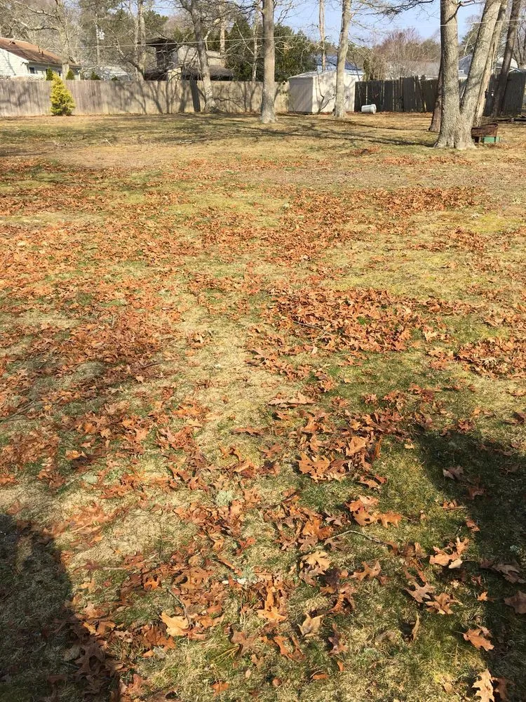 Reliable landscape design for beautiful yards in Hyannis, MA by Alvarado Lansdcaping