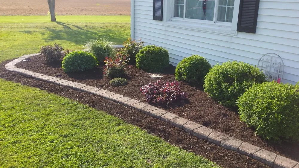 Trusted yard cleanup service for year-round maintenance across Defiance, OH - Alvarado Lawn & Landscape