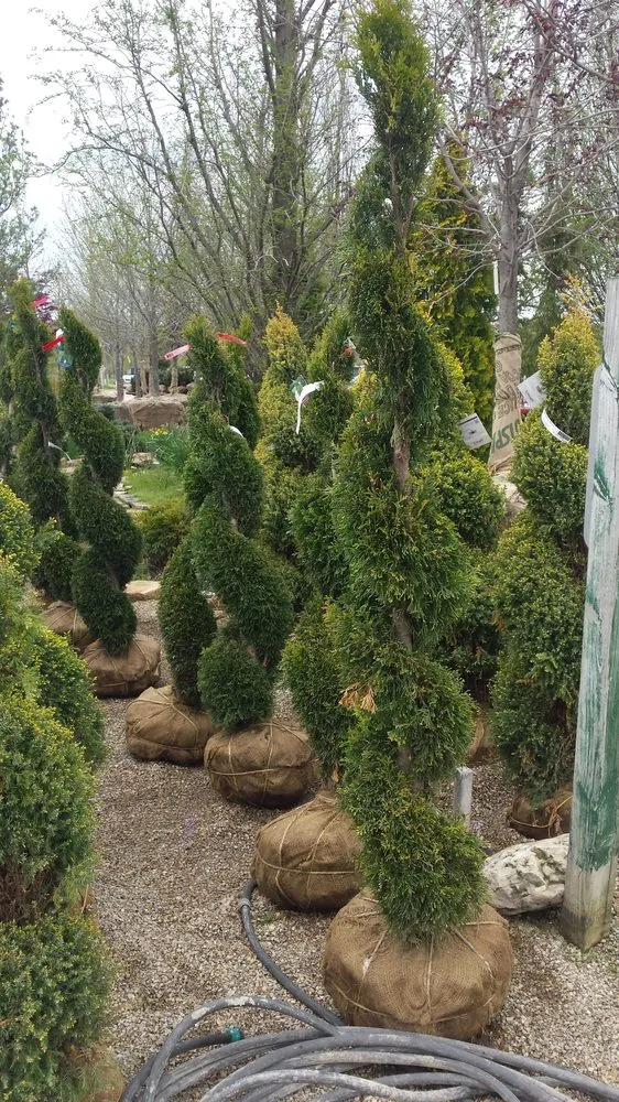 Professional lawn care service for year-round maintenance across Defiance, OH - Alvarado Lawn & Landscape