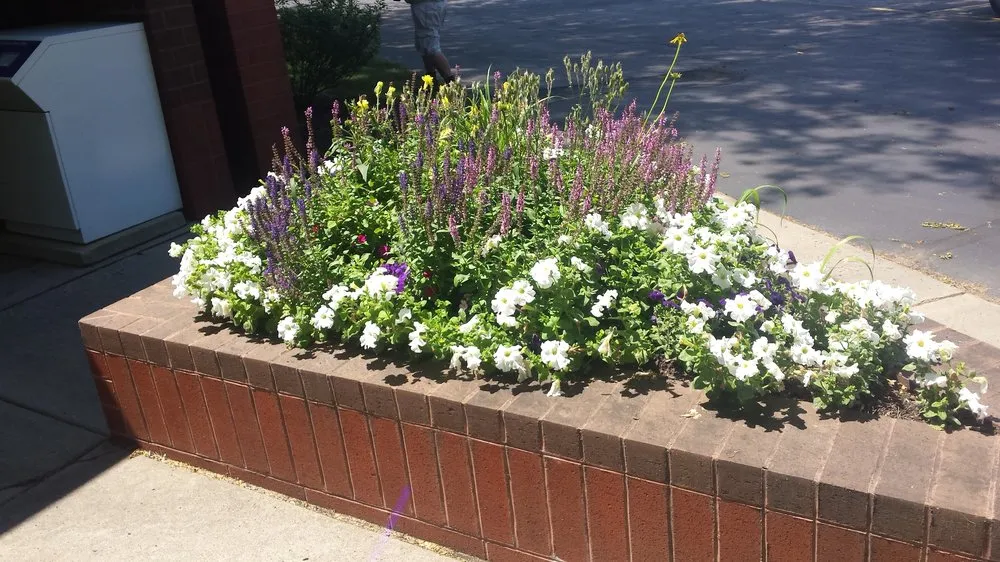 Custom yard maintenance for beautiful yards across Defiance, OH - Alvarado Lawn & Landscape