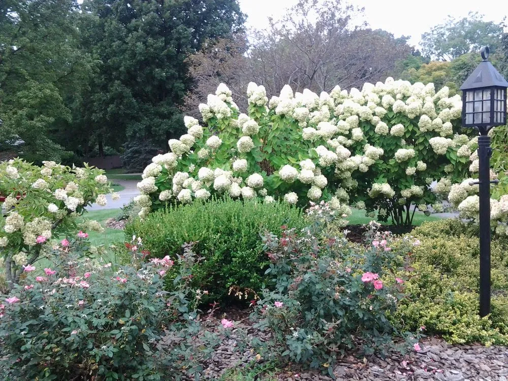 Top-rated landscape installation for residential properties across Defiance, OH - Alvarado Lawn & Landscape