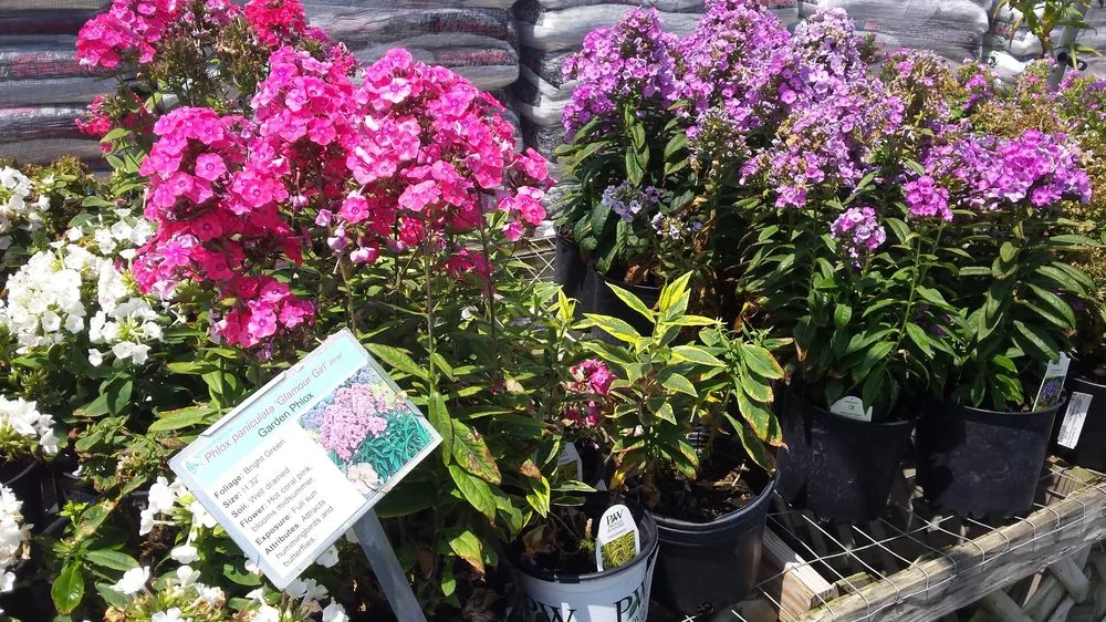 Trusted landscape design in Defiance, OH by Alvarado Lawn & Landscape