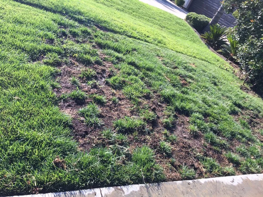 Trusted outdoor landscaping in Moreno Valley, CA by Alvarado Lawn Service