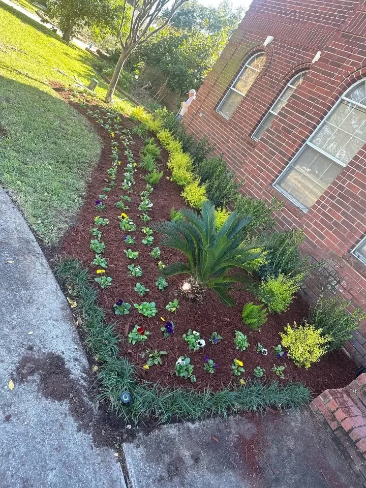 Local landscape design for homes in Houston, TX by Alvarado Tree Service and Landscaping