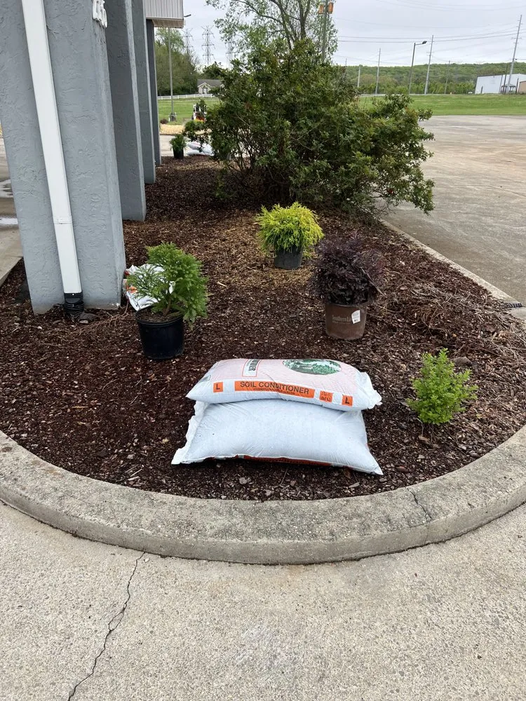 Reliable landscape design experts serving Athens, AL - Alvarado’s landscaping