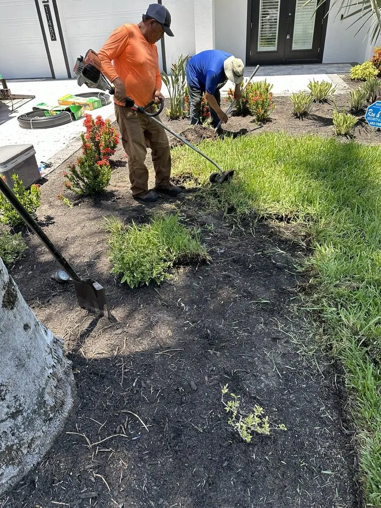 Reliable landscape design in Fort Myers, FL - Alvarado’s Landscaping