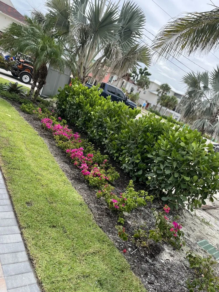 Reliable yard cleanup service with custom design across Fort Myers, FL - Alvarado’s Landscaping