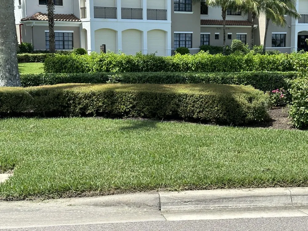 Local garden landscaping near you in Fort Myers, FL by Alvarado’s Landscaping