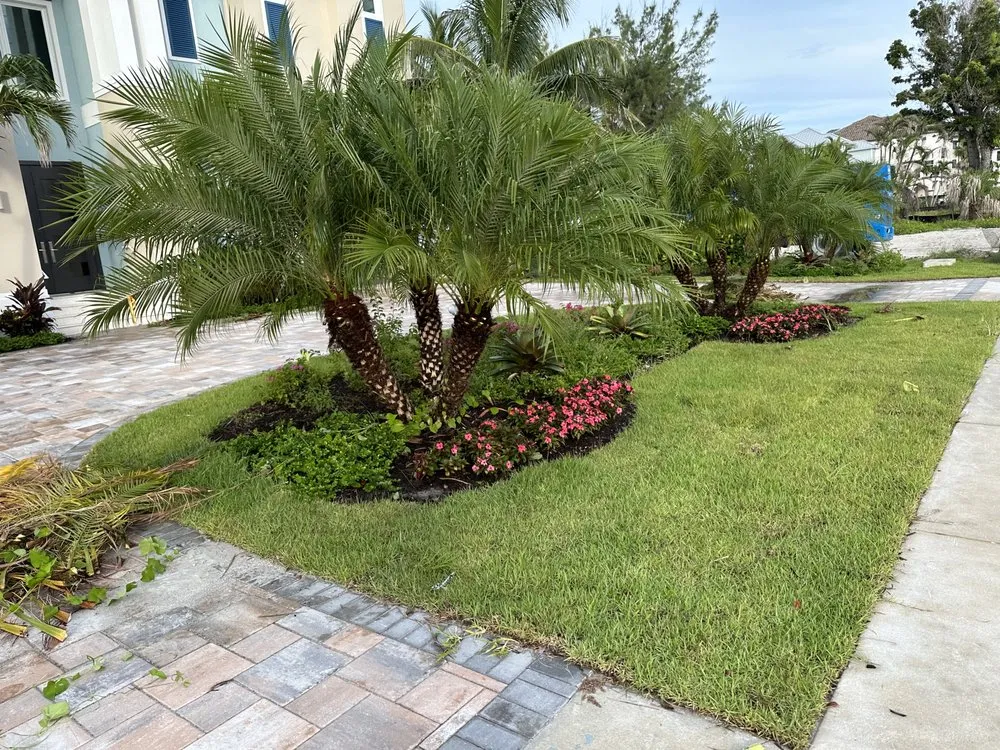 Affordable landscape design in Fort Myers, FL - Alvarado’s Landscaping