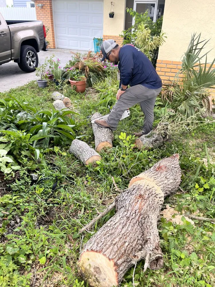 Custom yard cleanup service experts serving Fort Myers, FL - Alvarado’s Landscaping