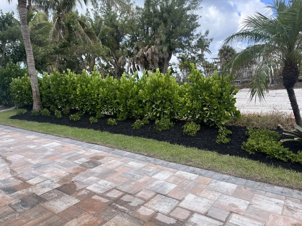 Top-rated landscaping services near you in Fort Myers, FL by Alvarado’s Landscaping
