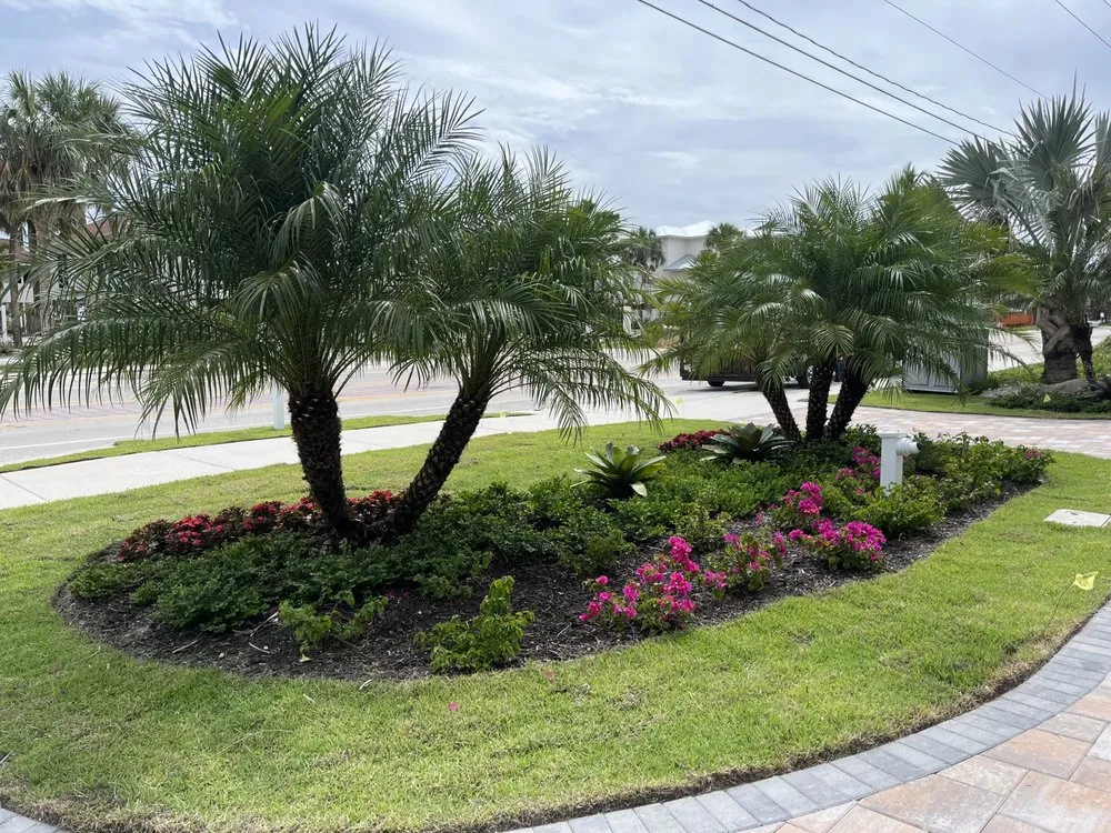 Custom yard cleanup service in Fort Myers, FL - Alvarado’s Landscaping