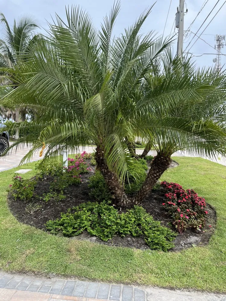 Top-rated landscape design for outdoor upgrades in Fort Myers, FL by Alvarado’s Landscaping