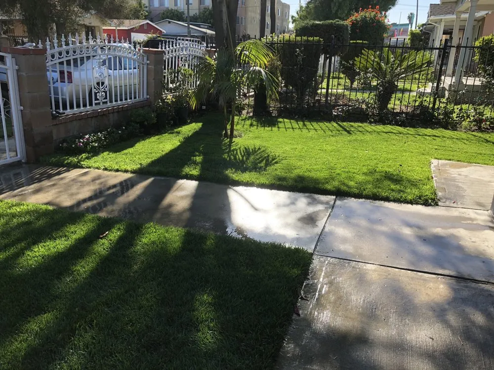 Local outdoor landscaping experts serving Los Angeles, CA - Alvarado's Landscaping