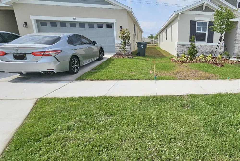 Top-rated yard maintenance experts serving Auburndale, FL - Alvarado's Landscaping Services