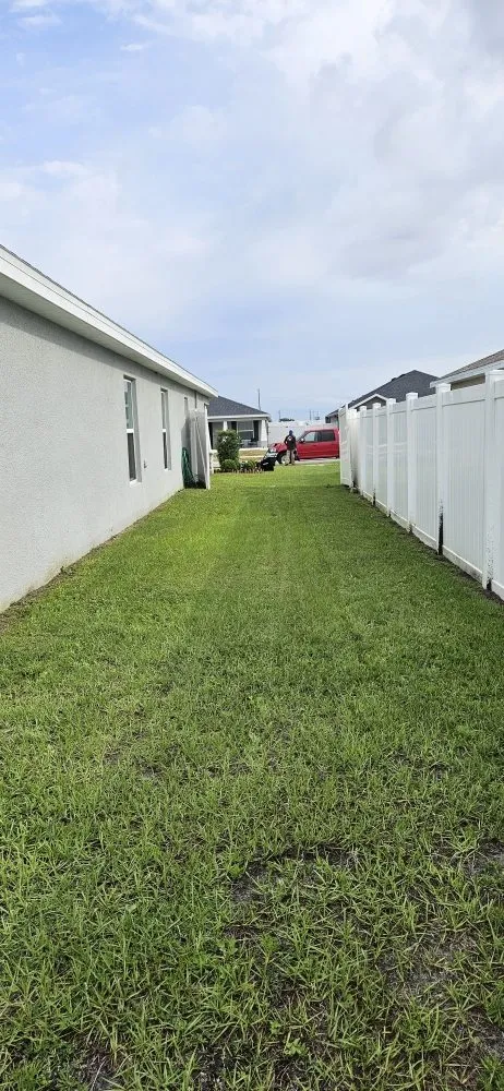 Local residential landscaping for outdoor upgrades across Auburndale, FL - Alvarado's Landscaping Services