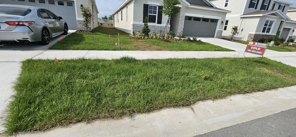 Professional residential landscaping in Auburndale, FL - Alvarado's Landscaping Services