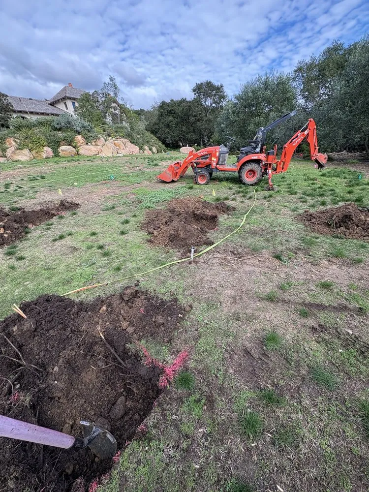 Expert yard maintenance experts serving Ventura, CA - Alvarados Landscaping