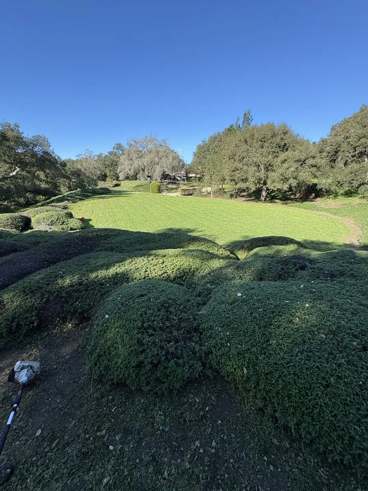 Local outdoor landscaping in Ventura, CA - Alvarados Landscaping