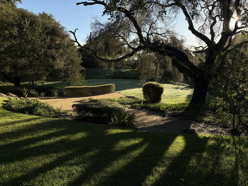 Custom lawn mowing service experts serving Ventura, CA - Alvarados Landscaping