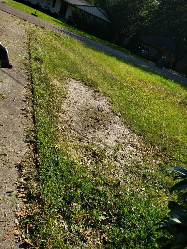 Trusted landscape design in Hattiesburg, MS - Alvarados Lawn Care