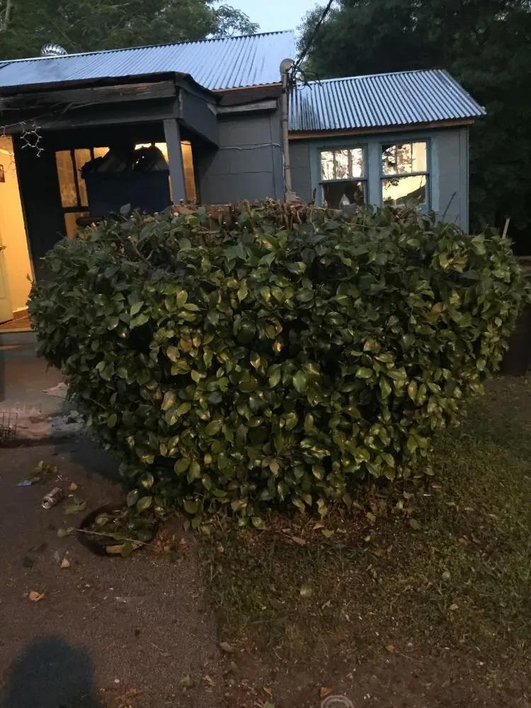 Top-rated yard maintenance near you in Hattiesburg, MS by Alvarados Lawn Care