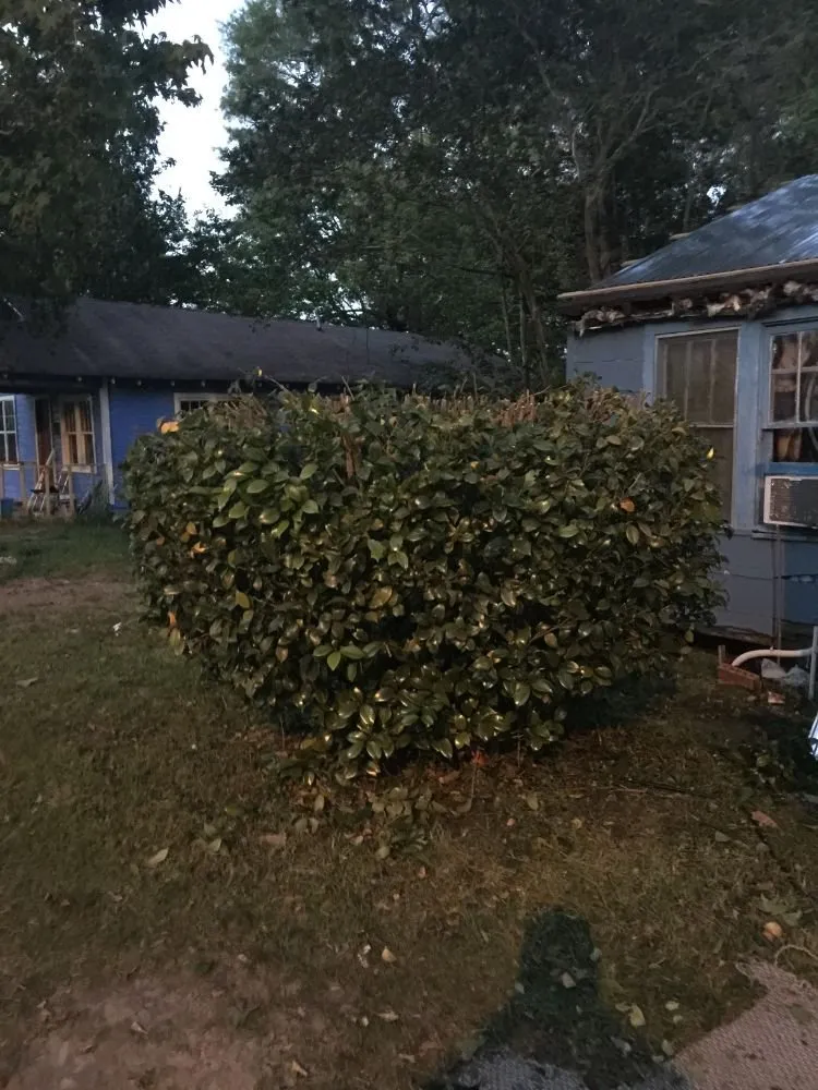 Expert garden landscaping for beautiful yards across Hattiesburg, MS - Alvarados Lawn Care