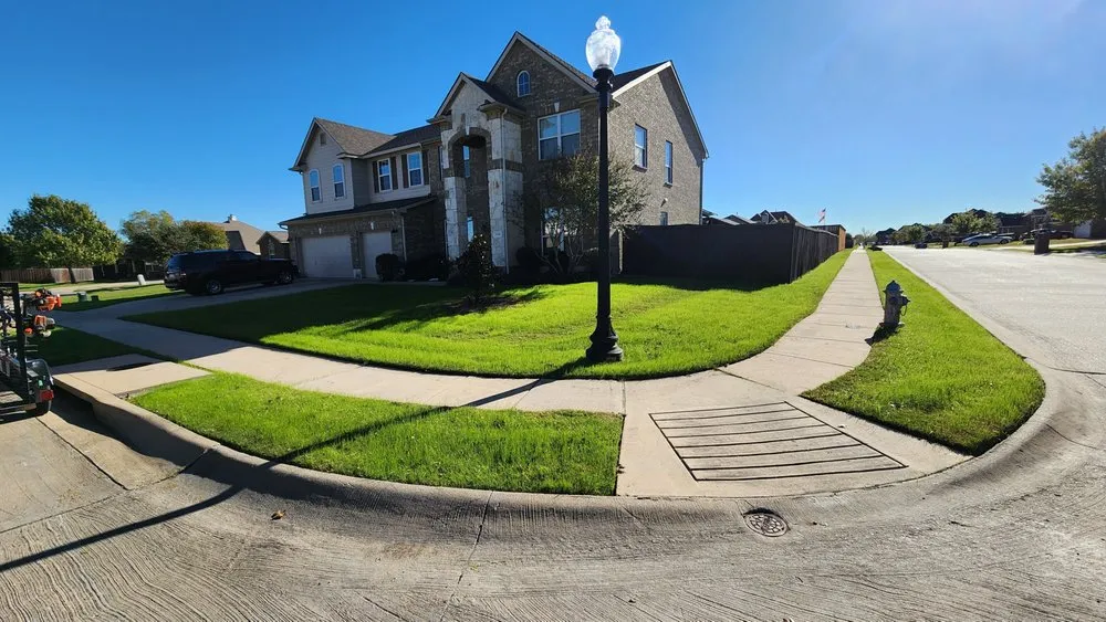 Top-rated yard cleanup service for year-round maintenance in Mesquite, TX by Alvarado's Lawn Care