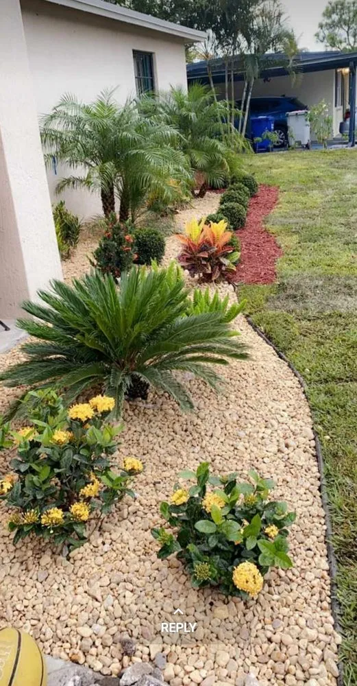 Expert lawn care service for year-round maintenance in West Palm Beach, FL by Alvarado's Lawn Services