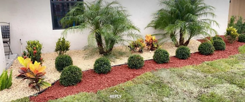 Affordable yard maintenance near you in West Palm Beach, FL by Alvarado's Lawn Services