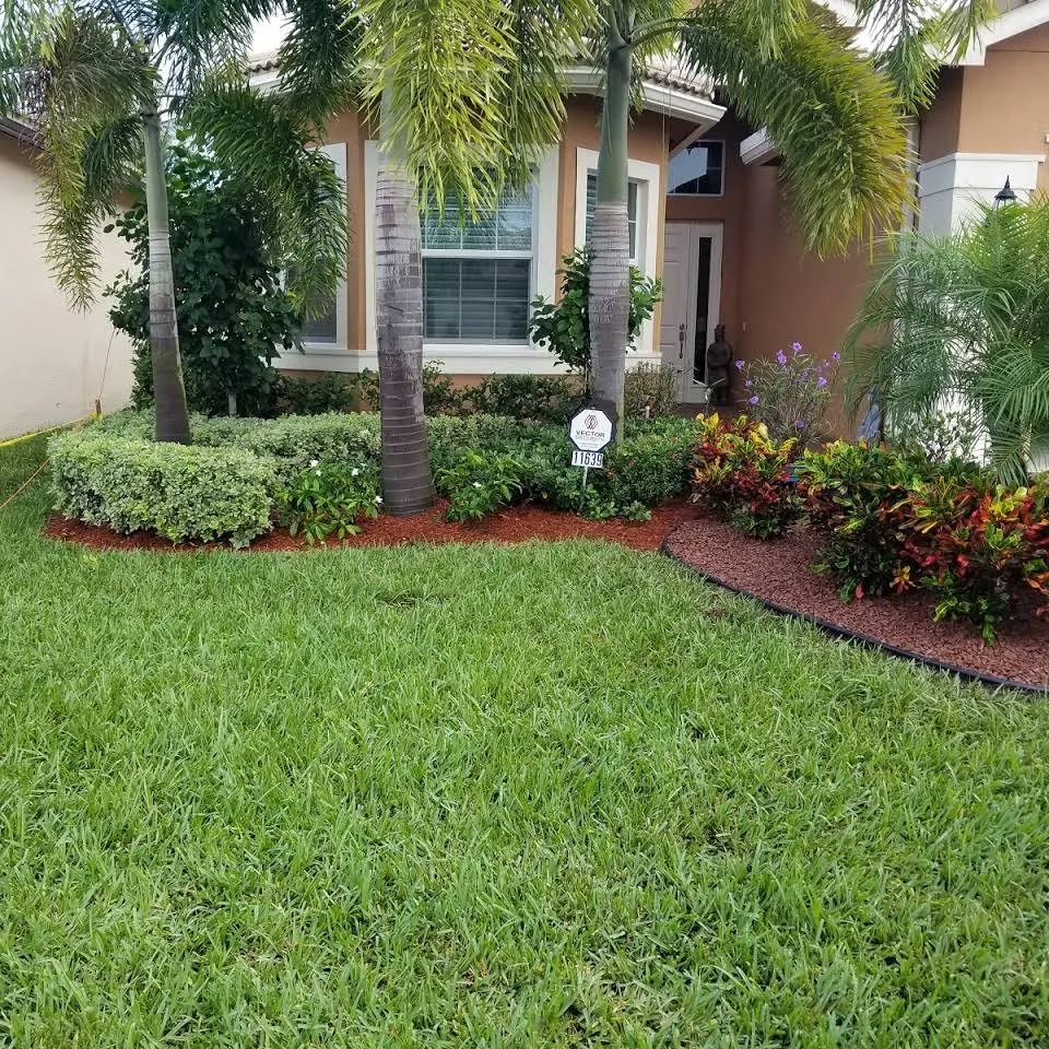 Affordable lawn mowing service for homes across Lake Worth, FL - Alvarenga landscaping services