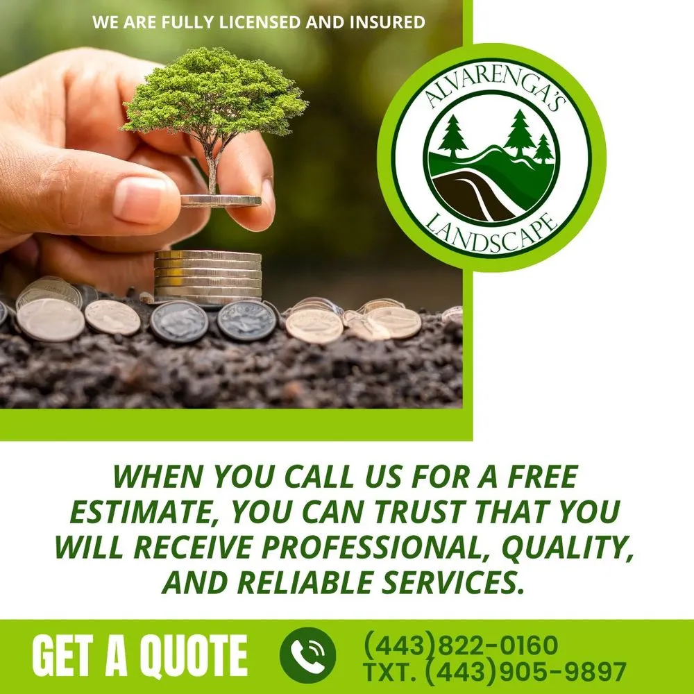 Trusted landscaping services in Crownsville, MD by Alvarenga's Landscape