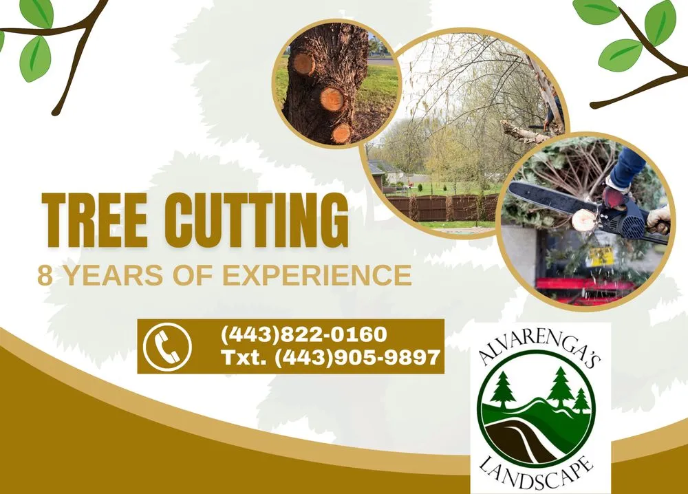 Trusted landscape installation experts serving Crownsville, MD - Alvarenga's Landscape