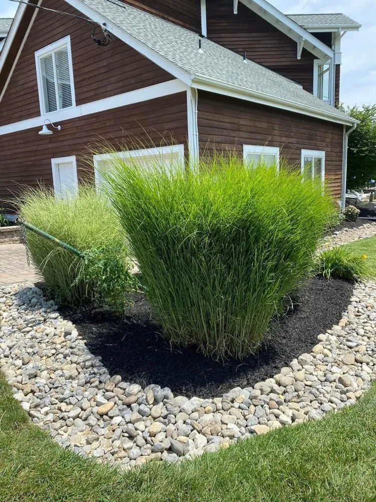 Trusted lawn care service in Crownsville, MD - Alvarenga's Landscape