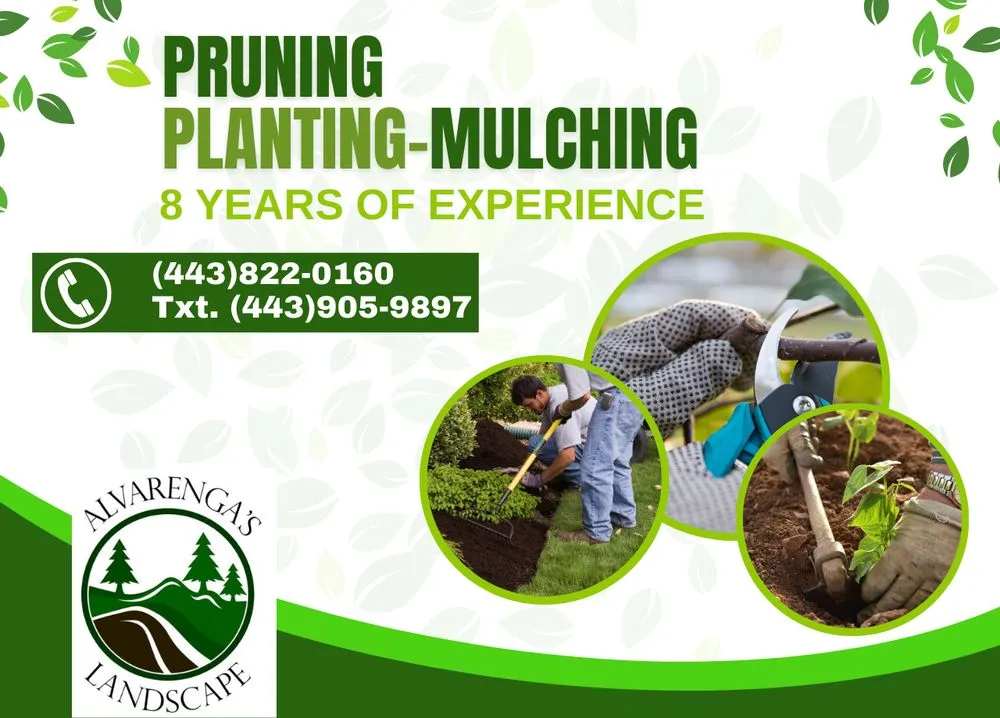 Reliable landscape design experts serving Crownsville, MD - Alvarenga's Landscape