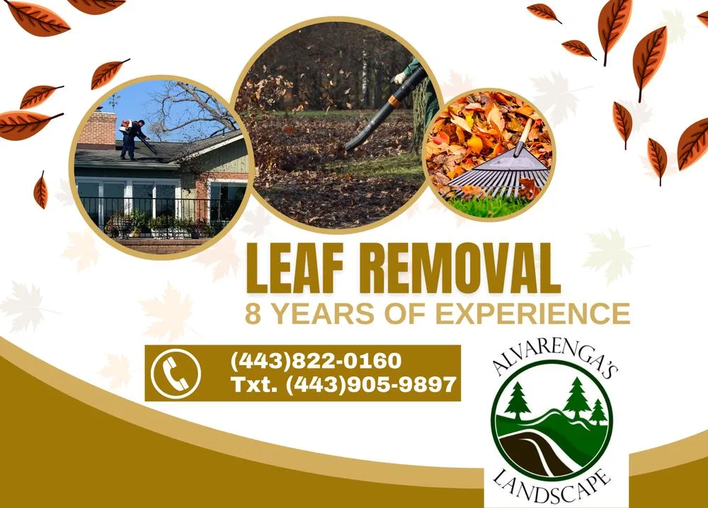 Local yard maintenance near you in Crownsville, MD by Alvarenga's Landscape